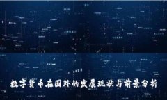 数字货币在国外的发展现