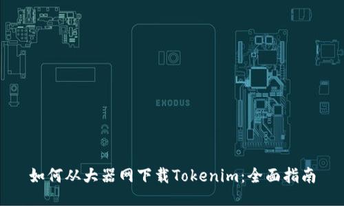 如何从大器网下载Tokenim：全面指南