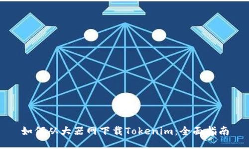 如何从大器网下载Tokenim：全面指南