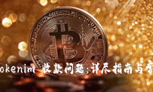 如何解决 Tokenim 收款问题：详尽指南与常见疑问解答