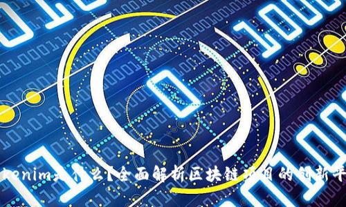 Tokenim是什么？全面解析区块链项目的创新平台