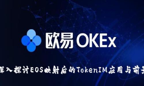 深入探讨EOS映射后的TokenIM应用与前景