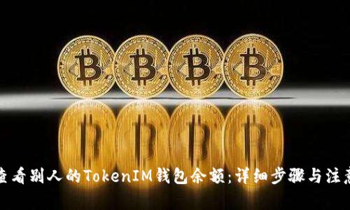 如何查看别人的TokenIM钱包余额：详细步骤与注意事项