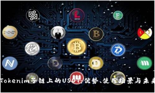 了解Tokenim子链上的USDT：优势、使用场景与未来发展
