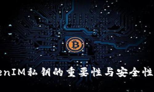 TokenIM私钥的重要性与安全性分析