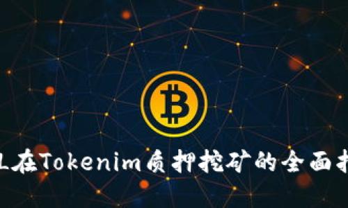 DPL在Tokenim质押挖矿的全面指南