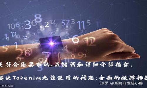 以下是符合您要求的、关键词和详细介绍框架。

如何解决Tokenim无法使用的问题：全面的故障排除指南
