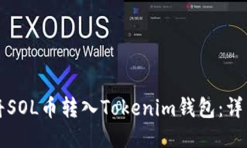 如何将SOL币转入Tokenim钱包：详细指南