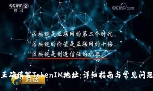 如何正确填写TokenIM地址：详细指南与常见问题解答