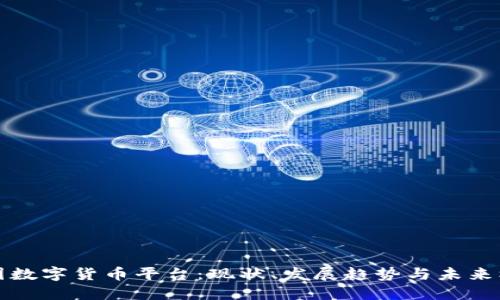 中国数字货币平台：现状、发展趋势与未来机遇