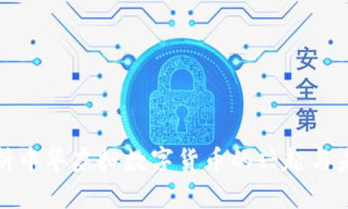 全面解析中华虚拟数字货币的兴起与未来发展