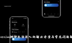 Tokenim测评无法进入的解决