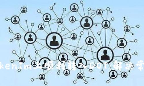 : 如何在TokenIm上顺利转入DOT：解决常见问题指南