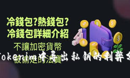 在Tokenim中导出私钥的利弊分析