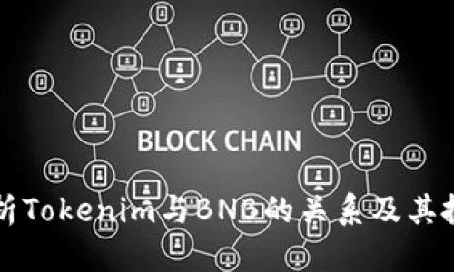 全面解析Tokenim与BNB的关系及其投资潜力