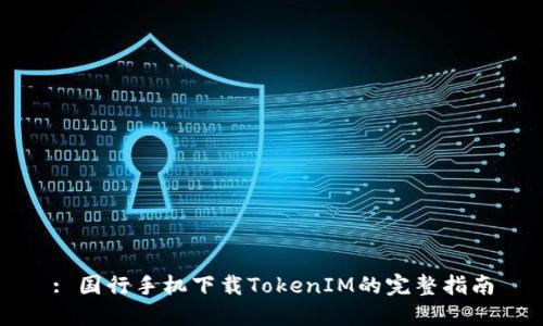 : 国行手机下载TokenIM的完整指南