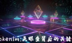 深入解析Tokenim：天眼查背