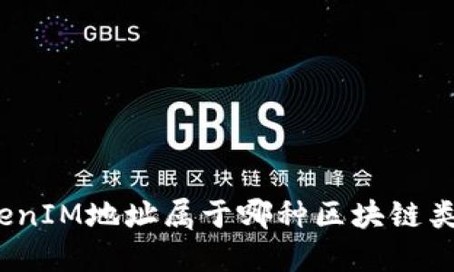 TokenIM地址属于哪种区块链类型？