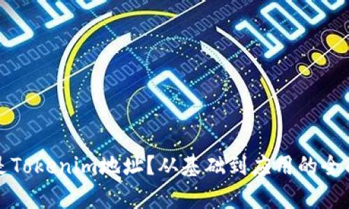 什么是Tokenim地址？从基础到应用的全面解析