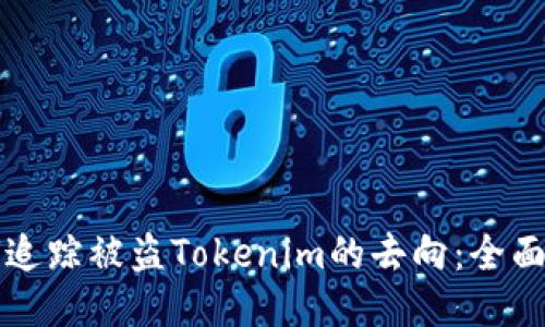 如何追踪被盗Tokenim的去向：全面指南