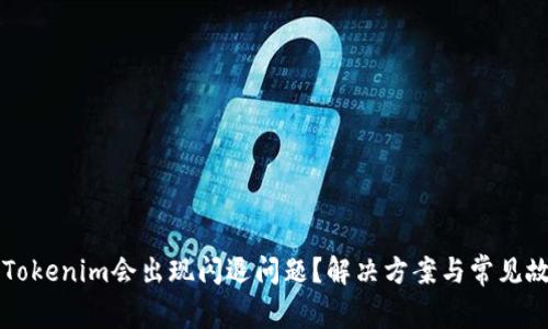 为什么使用Tokenim会出现闪退问题？解决方案与常见故障排除指南