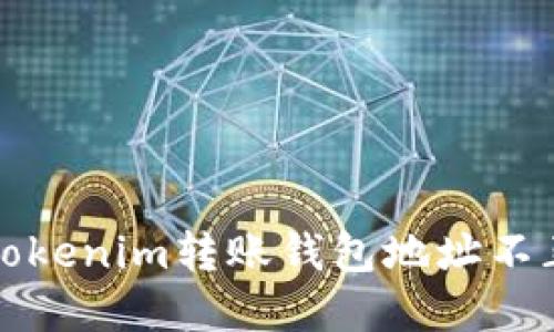 如何解决Tokenim转账钱包地址不正确的问题