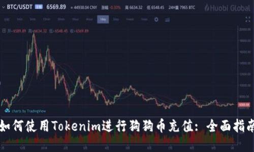 如何使用Tokenim进行狗狗币充值: 全面指南
