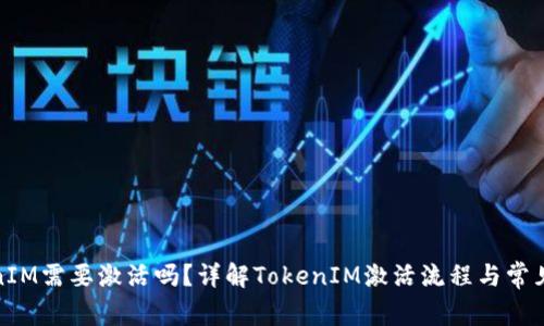 TokenIM需要激活吗？详解TokenIM激活流程与常见问题