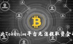 如何解决Tokenim平台无法提