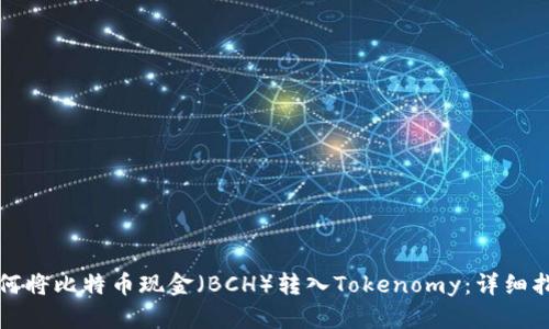 如何将比特币现金（BCH）转入Tokenomy：详细指南