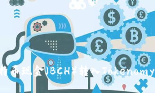 如何将比特币现金（BCH）转入Tokenomy：详细指南