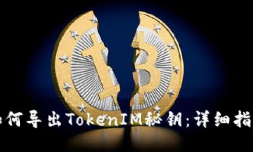 如何导出TokenIM秘钥：详细指南