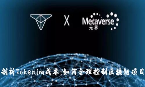 深度剖析Tokenim成本：如何合理控制区块链项目开支