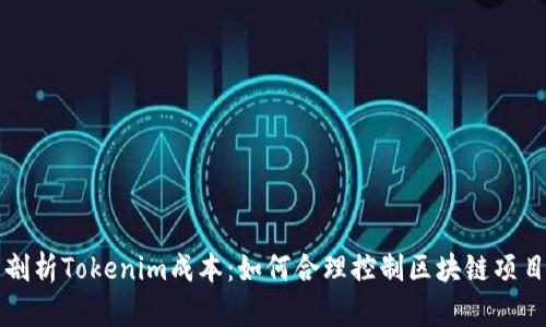 深度剖析Tokenim成本：如何合理控制区块链项目开支