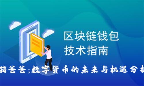 猪爸爸：数字货币的未来与机遇分析