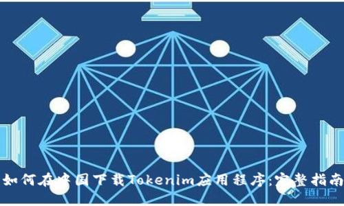 如何在中国下载Tokenim应用程序：完整指南