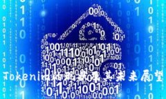 Tokenim的现状及其未来展望