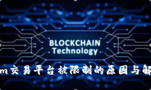 Tokenim交易平台被限制的原因与解决方案
