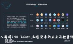 深入解析TNB Token：加密货