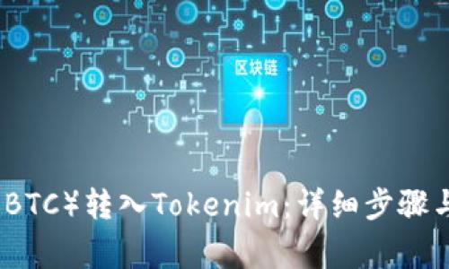 如何将比特币（BTC）转入Tokenim：详细步骤与常见问题解答