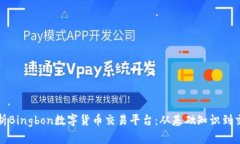全面解析Bingbon数字货币交