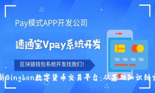 全面解析Bingbon数字货币交易平台：从基础知识到交易技巧