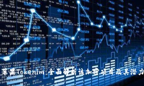 苹果Tokenim：全面解析该加密项目及其潜力