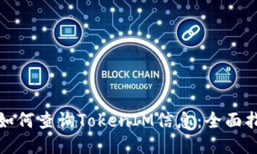 : 如何查询TokenIM信息：全面指南