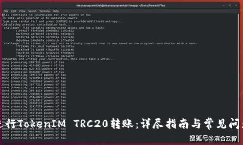 如何进行TokenIM TRC20转账：详尽指南与常见问题解析