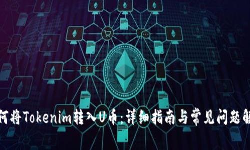 如何将Tokenim转入U币：详细指南与常见问题解答