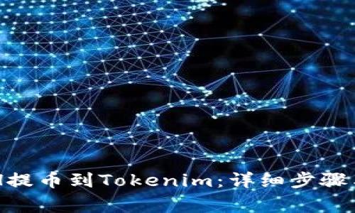 如何将BCH提币到Tokenim：详细步骤与注意事项