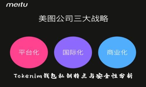 Tokenim钱包私钥特点与安全性分析