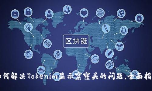 如何解决Tokenim显示窟窿头的问题，全面指南