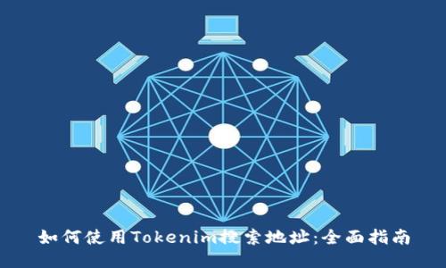 如何使用Tokenim搜索地址：全面指南